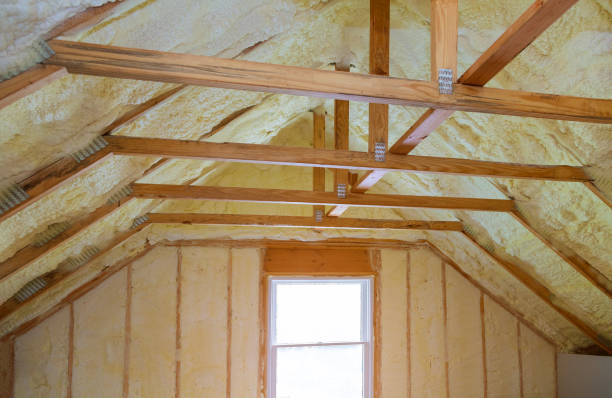 Professional Insulation Contractor in Christmas, FL